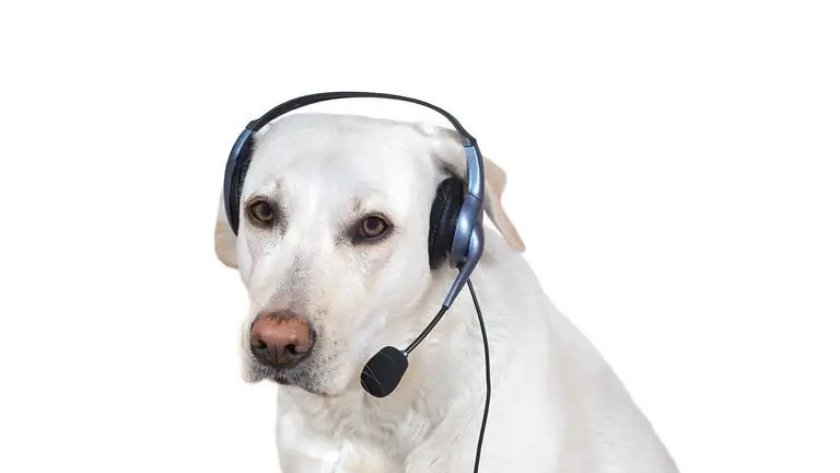 IT Support services IT Support services by Dailyworx