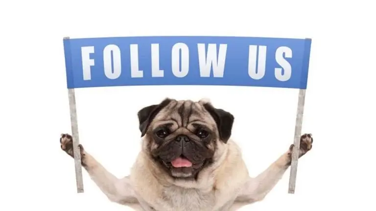 Digital Marketing services Digital Marketing services by Dailyworx